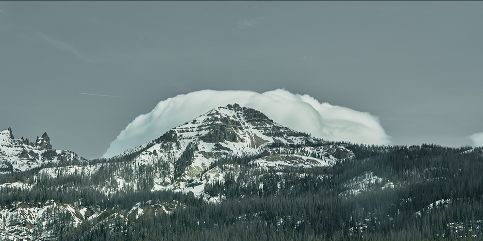 【夏季休業のお知らせ】