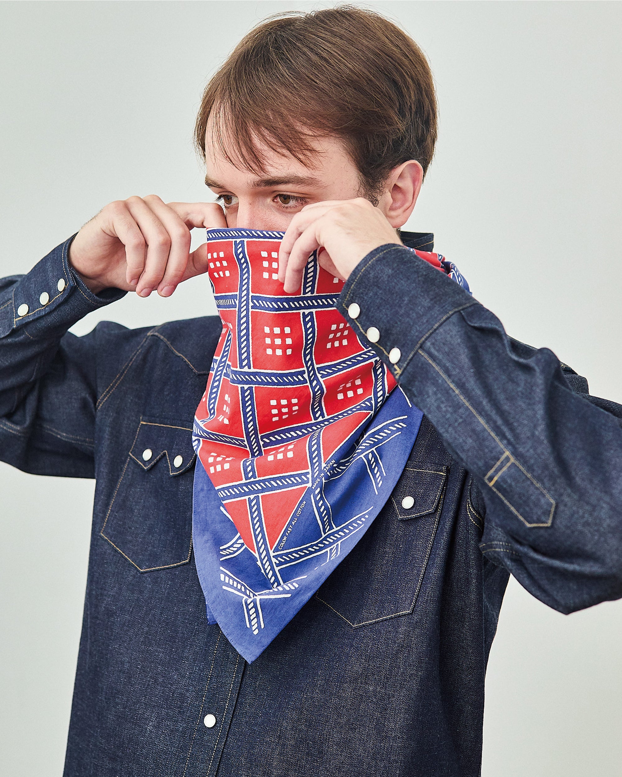 Scarf Federal Stars