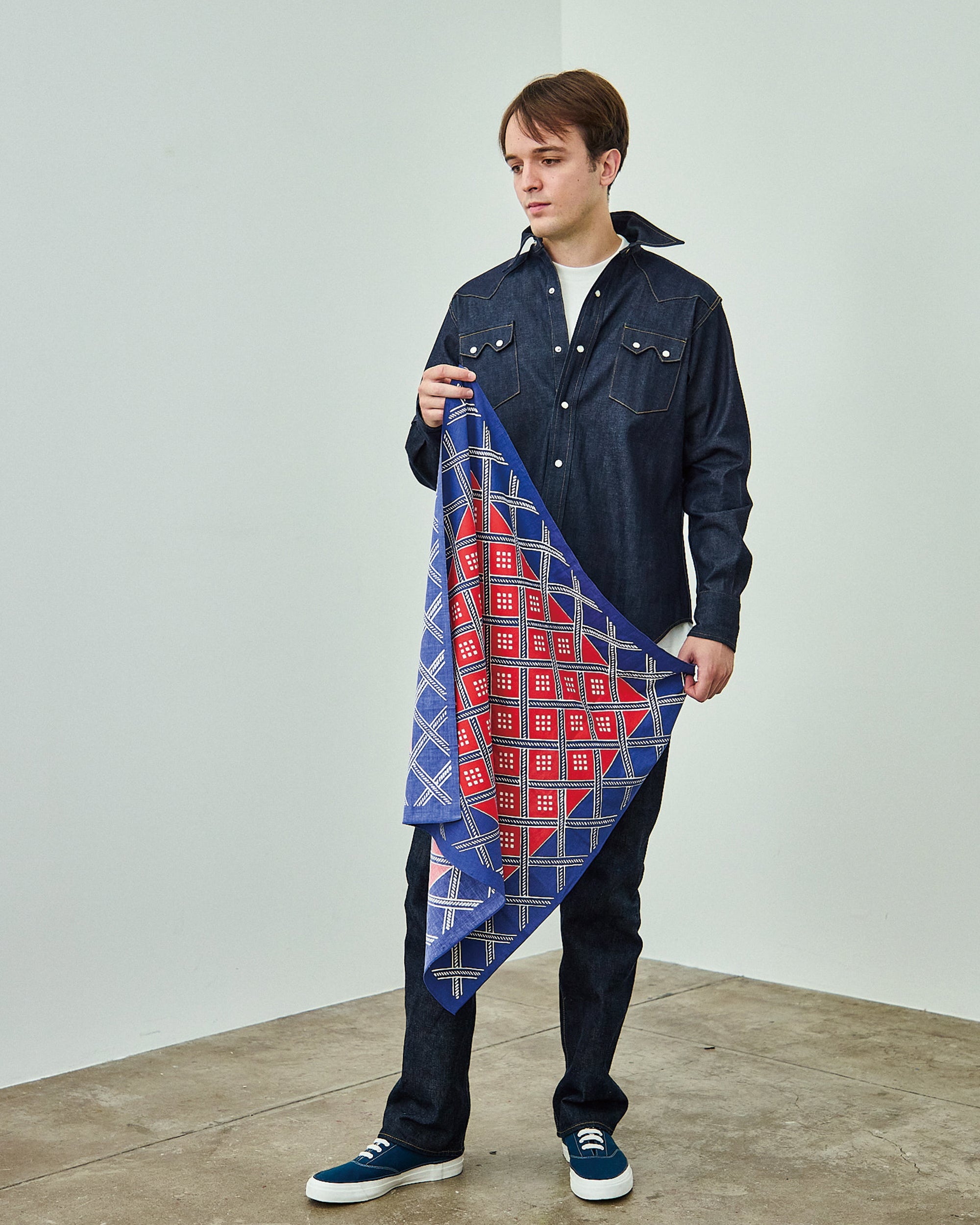 Scarf Federal Stars