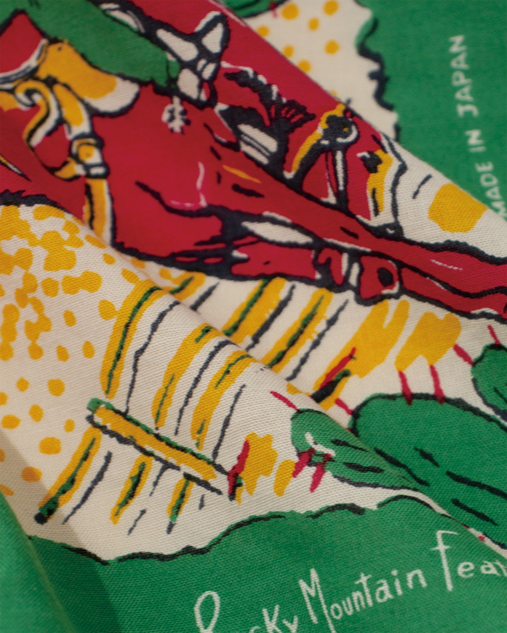 Scarf Arizona