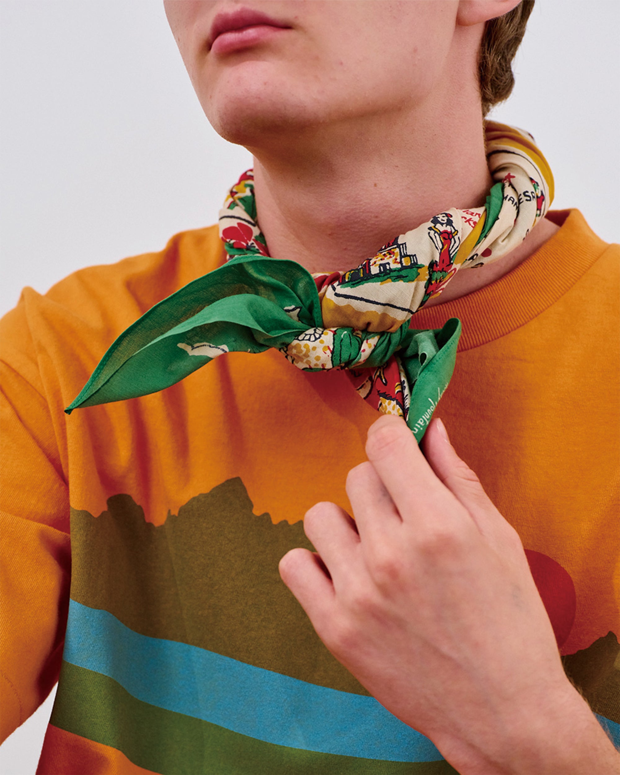 Scarf Arizona