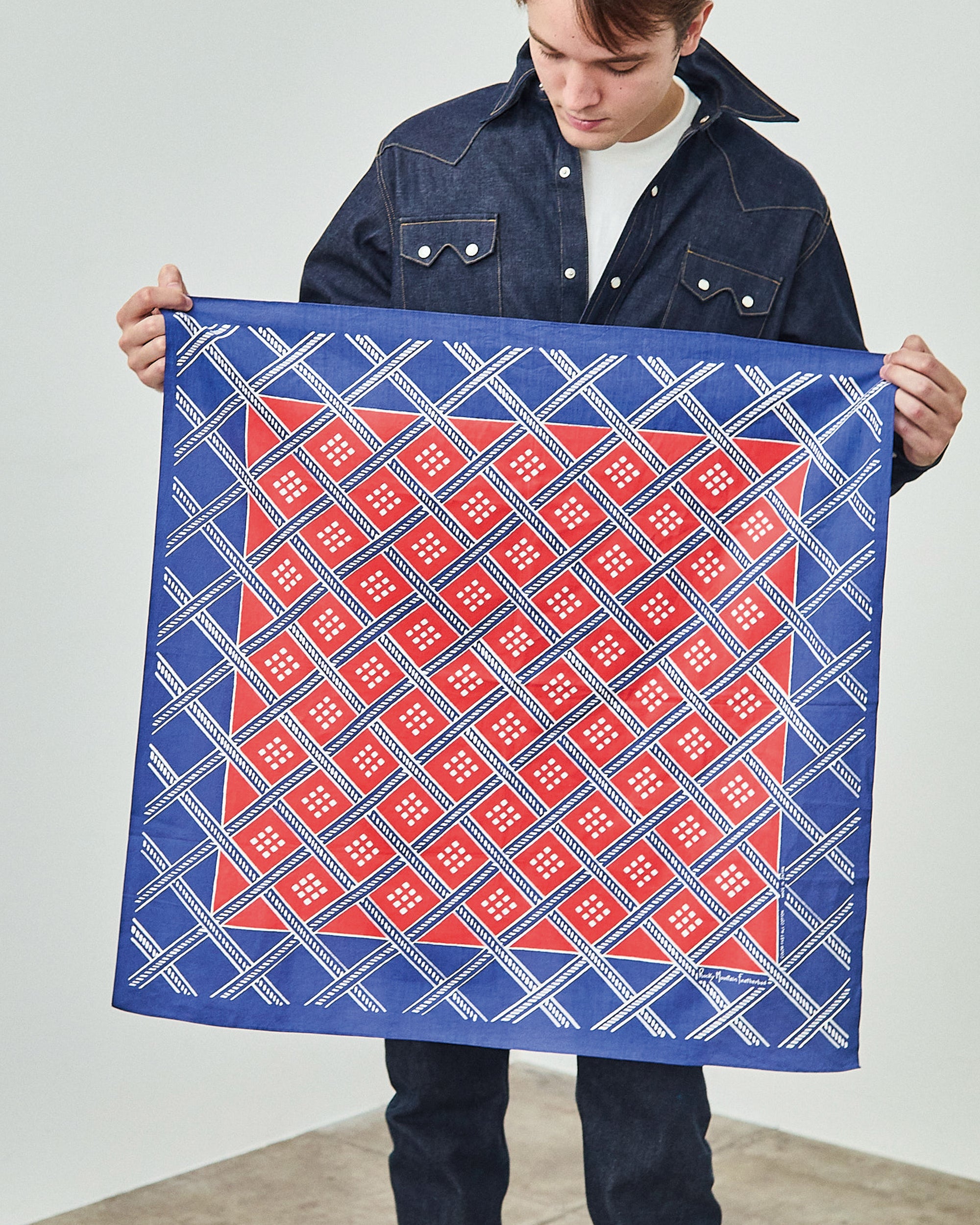 Scarf Federal Stars
